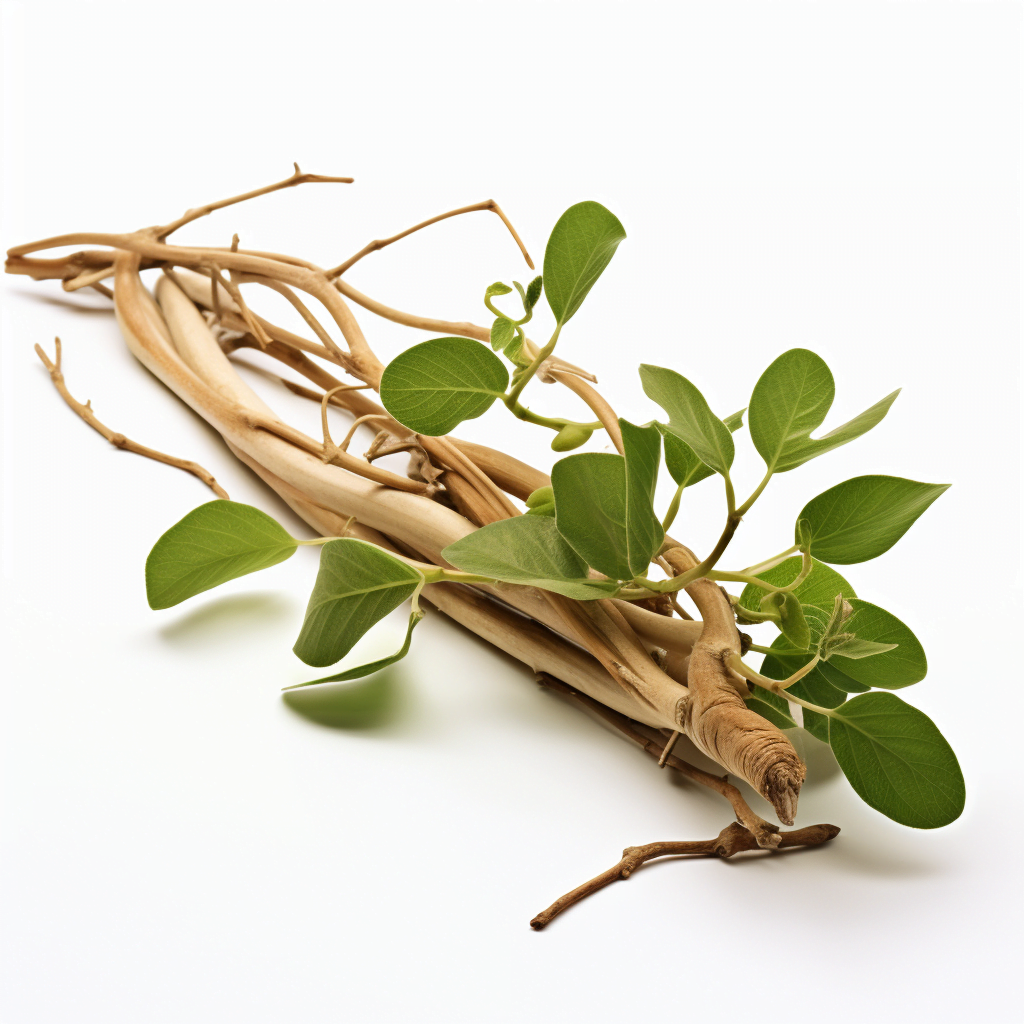 Ashwagandha root