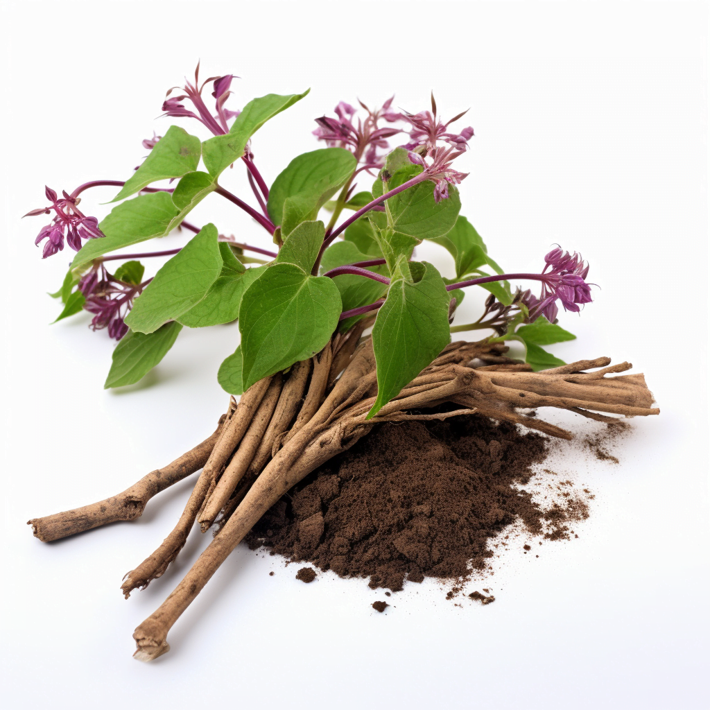 Valerian Root